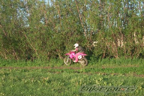 Photo 51706