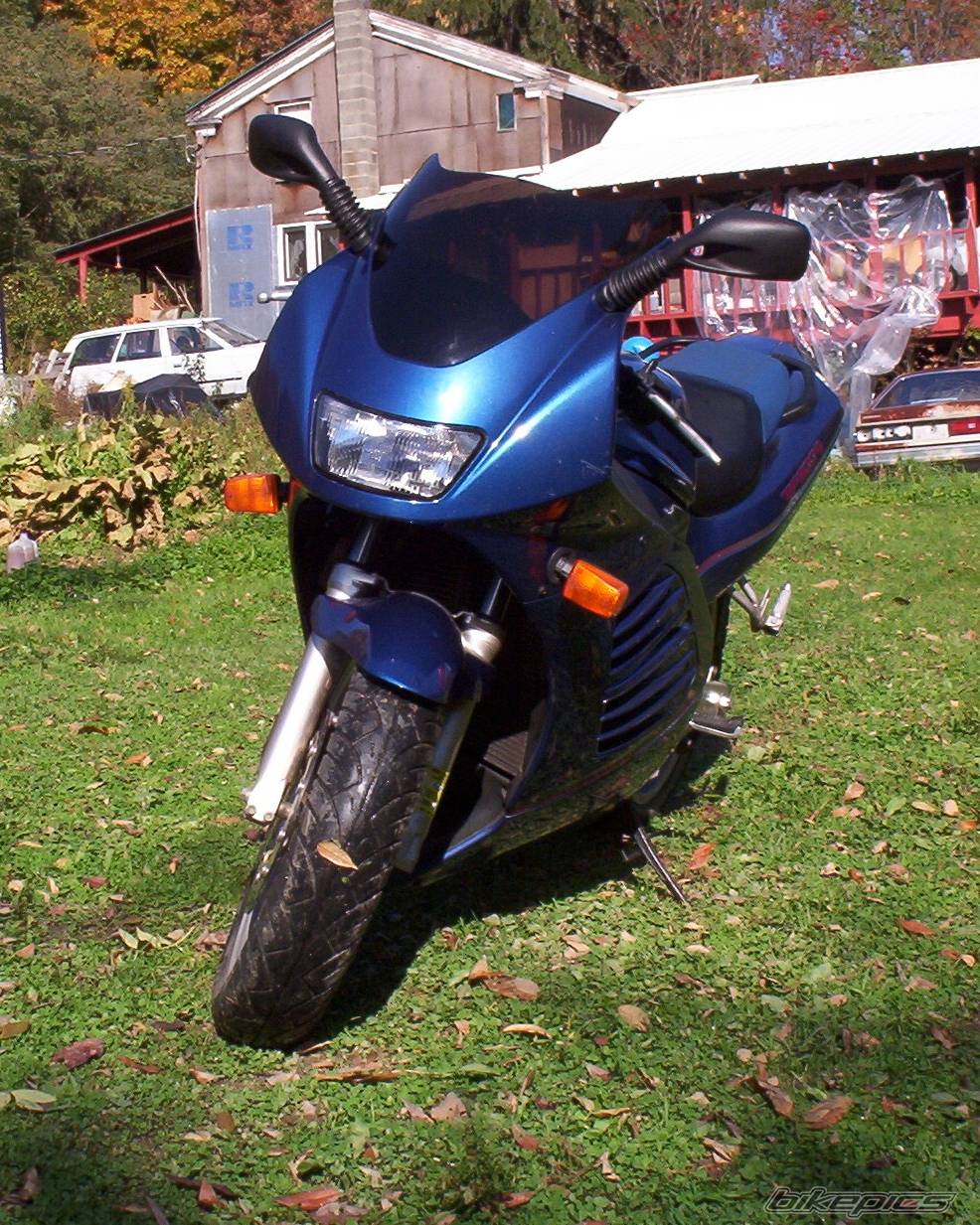 Photo 517181