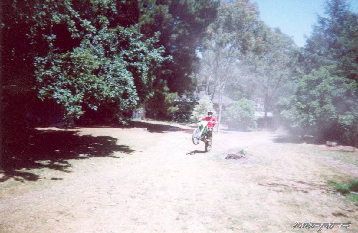Photo 51735