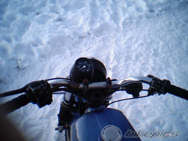 Photo 517396