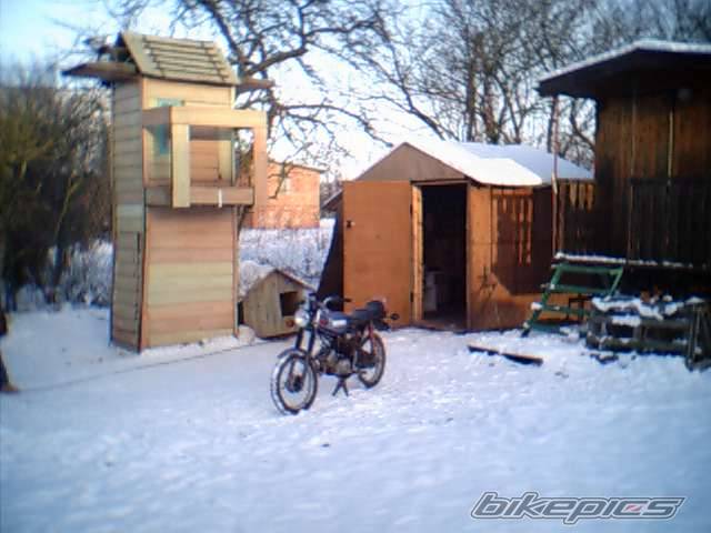 Photo 517399