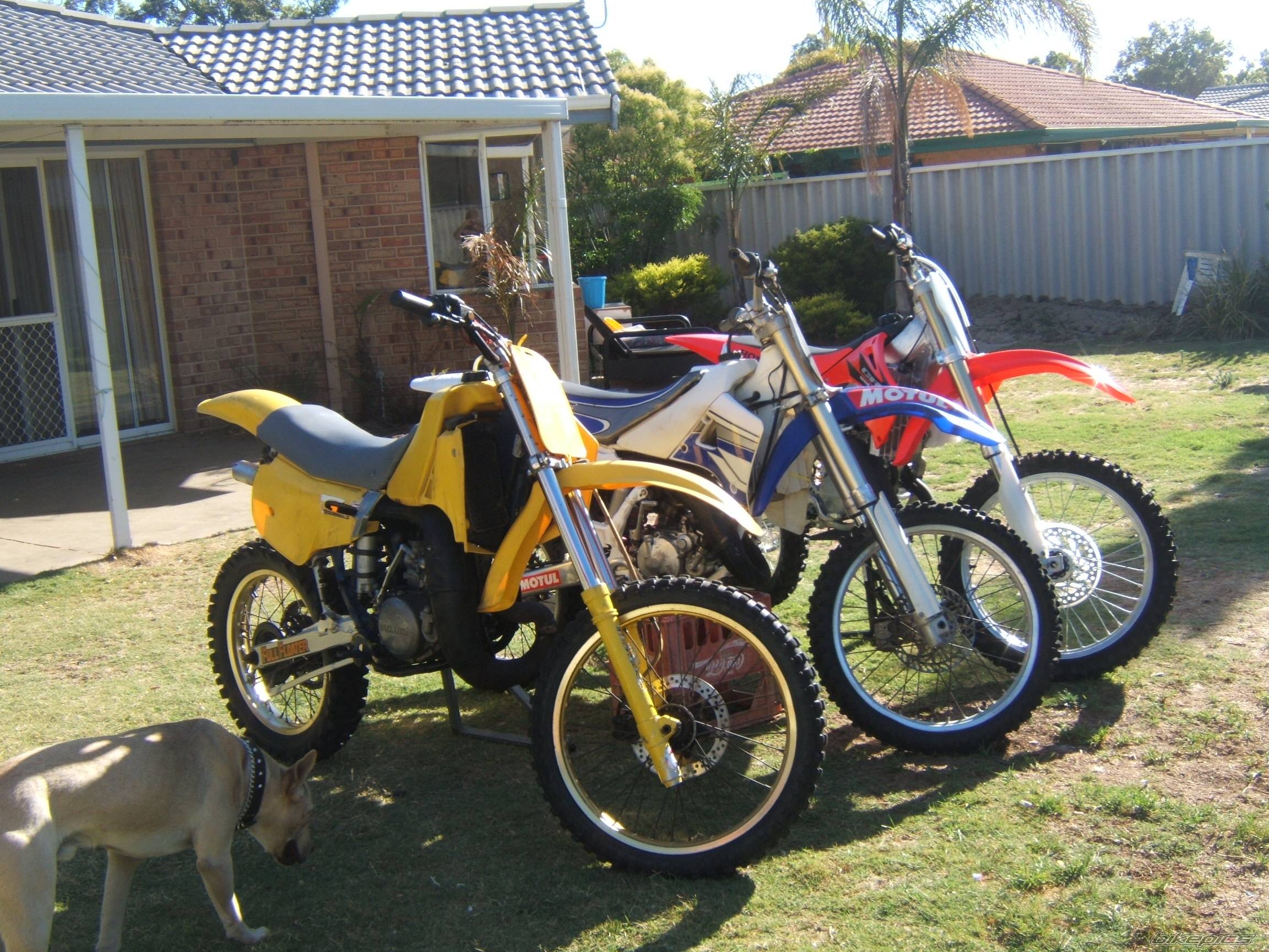 Bike Photo 517749