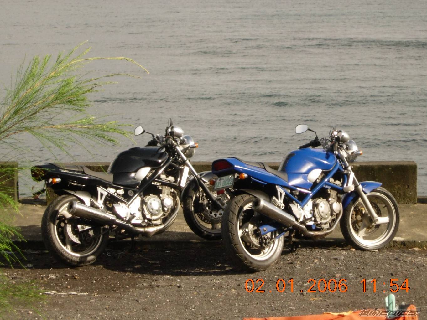 Bike Photo 517801