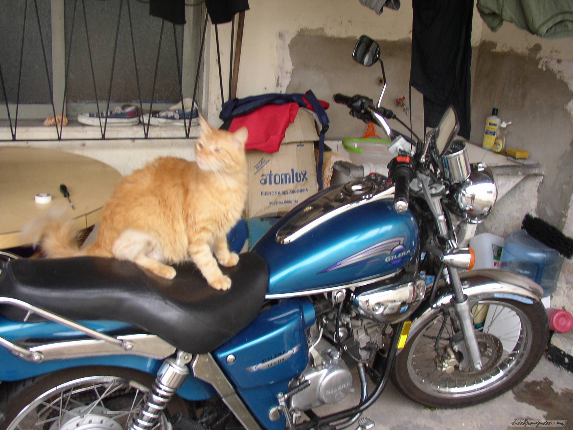 Bike Photo 518192