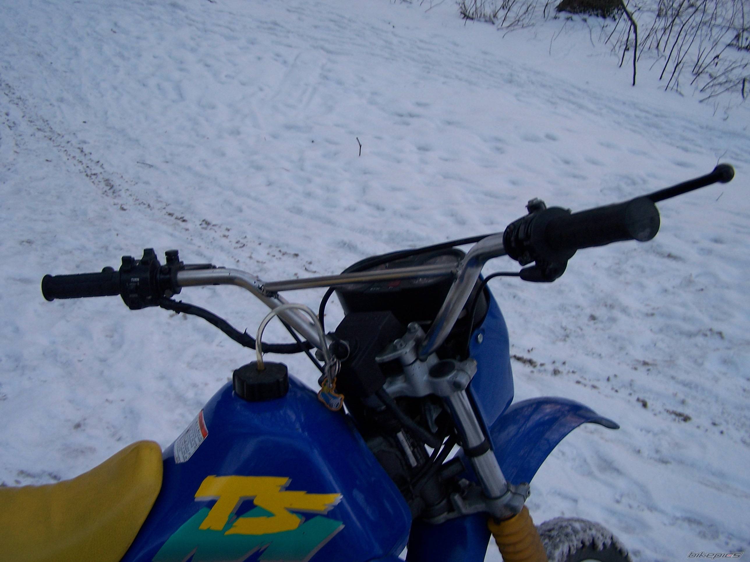 Photo 518333