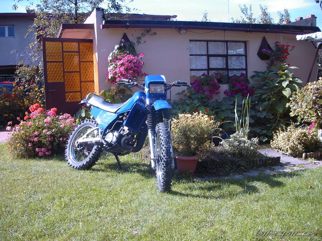 Bike Photo 518507