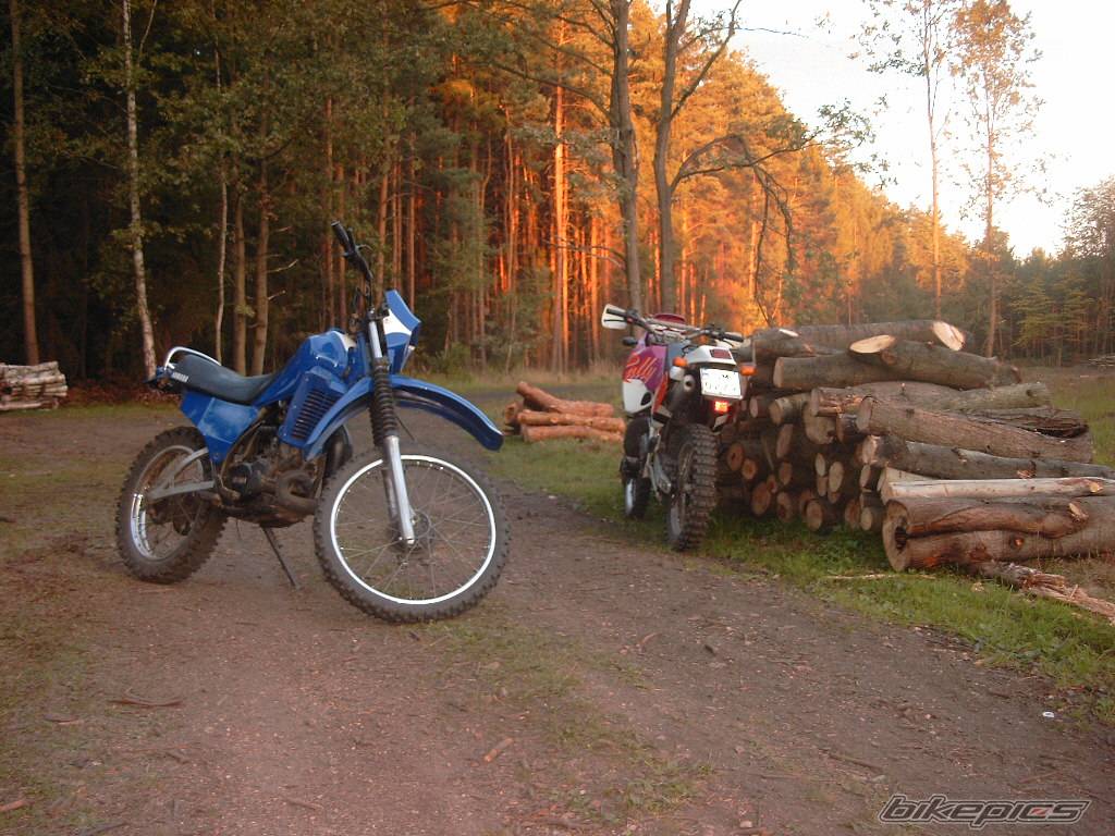 Photo 518534