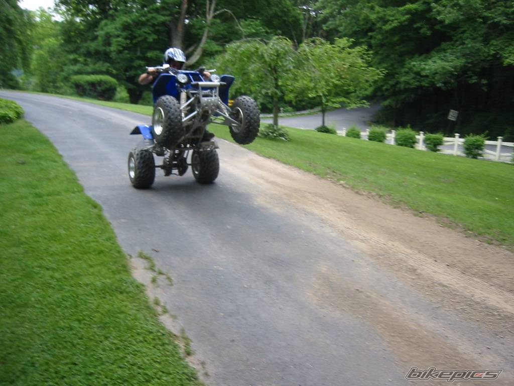 Bike Photo 51865