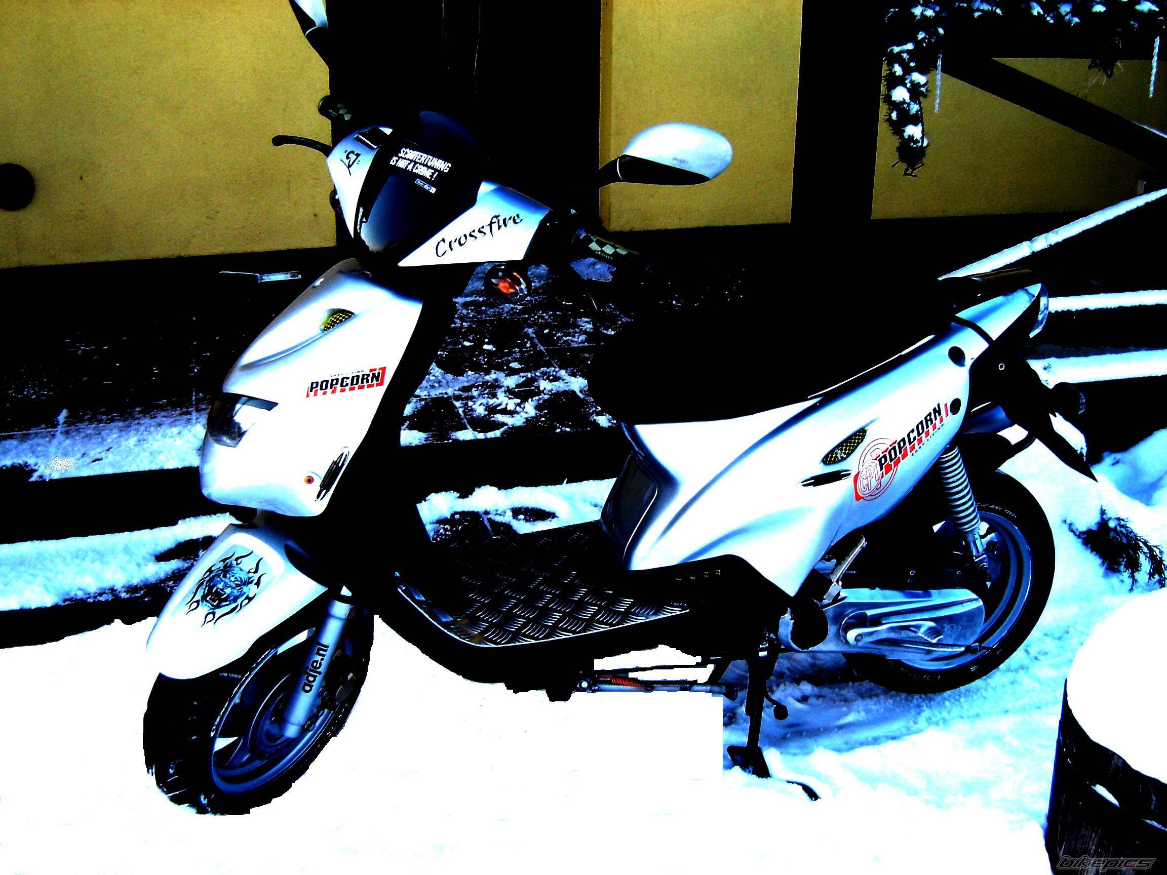 Photo 519198