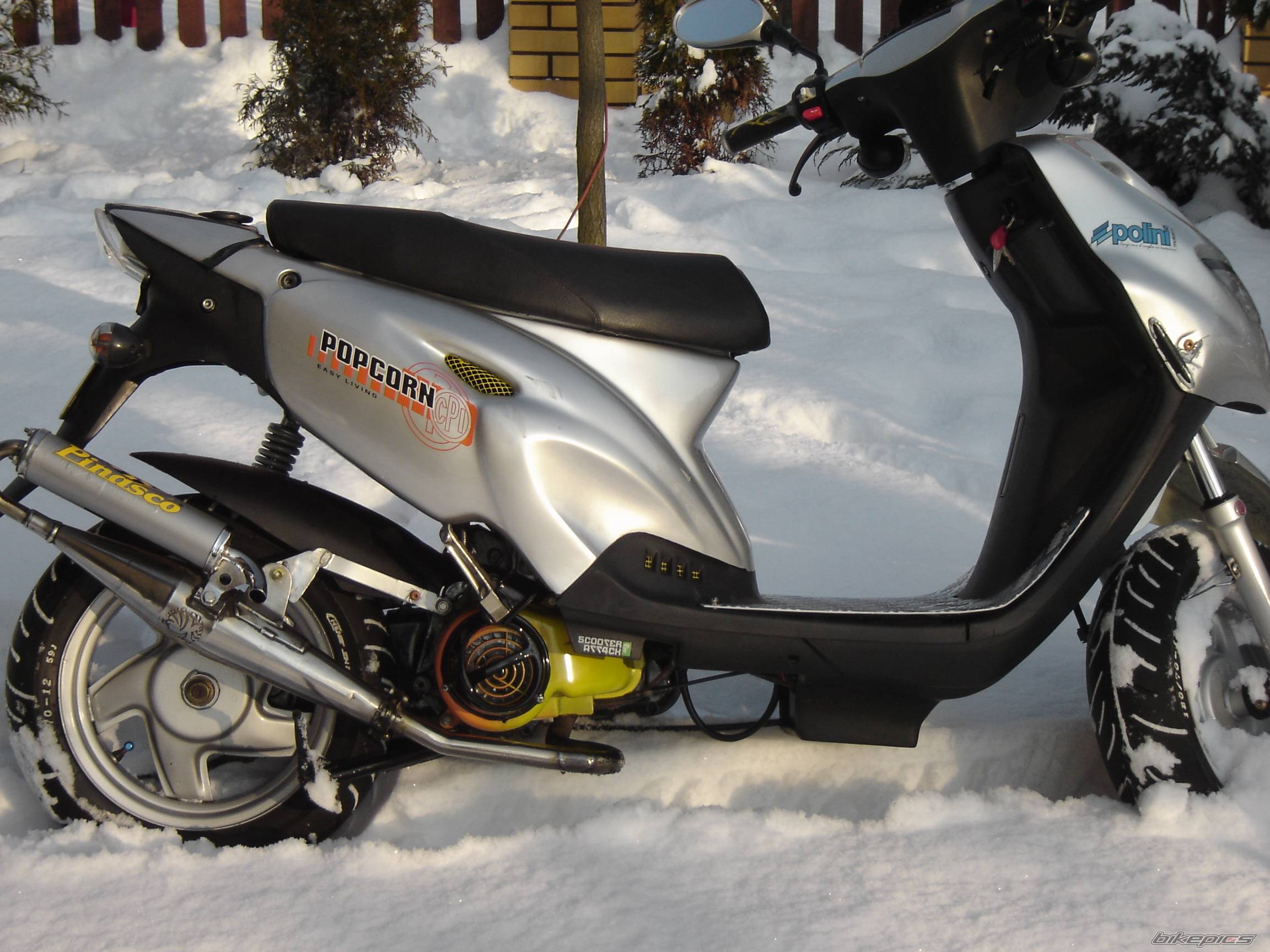 Photo 519207
