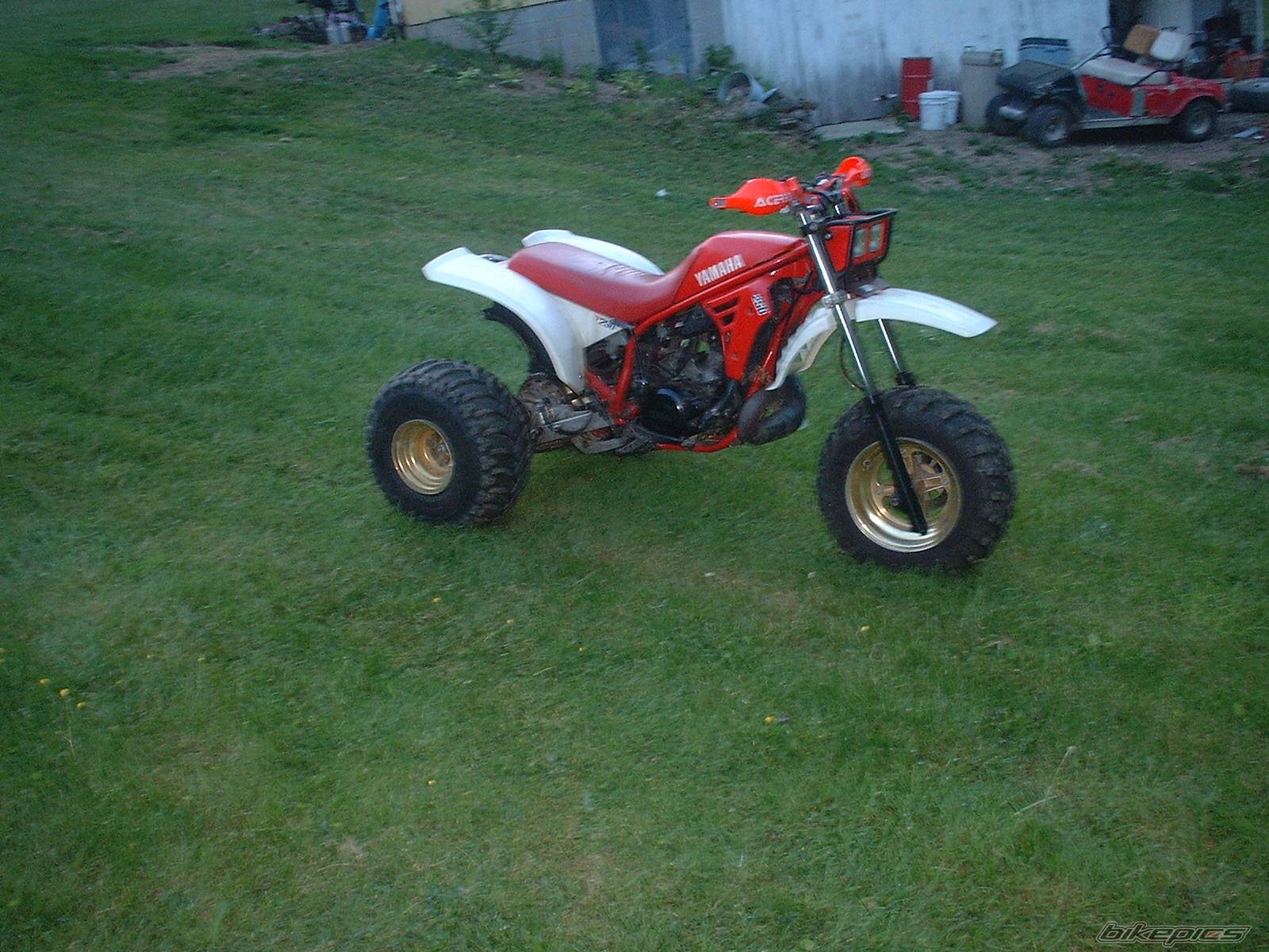 Photo 519307