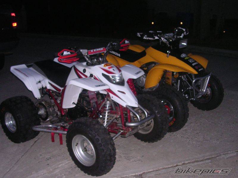 Photo 519421