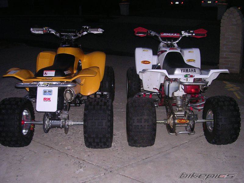 Photo 519423