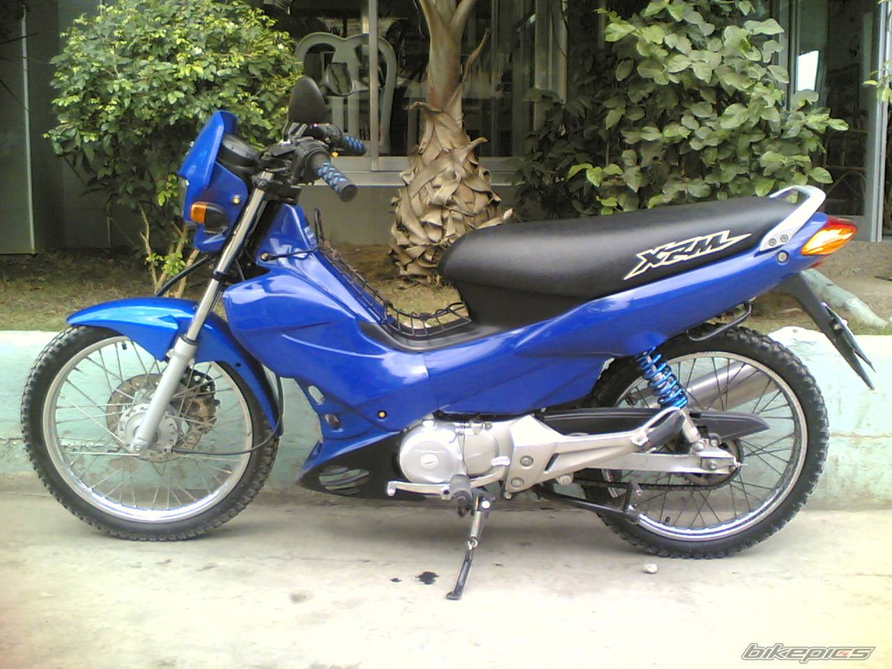 Photo 519662