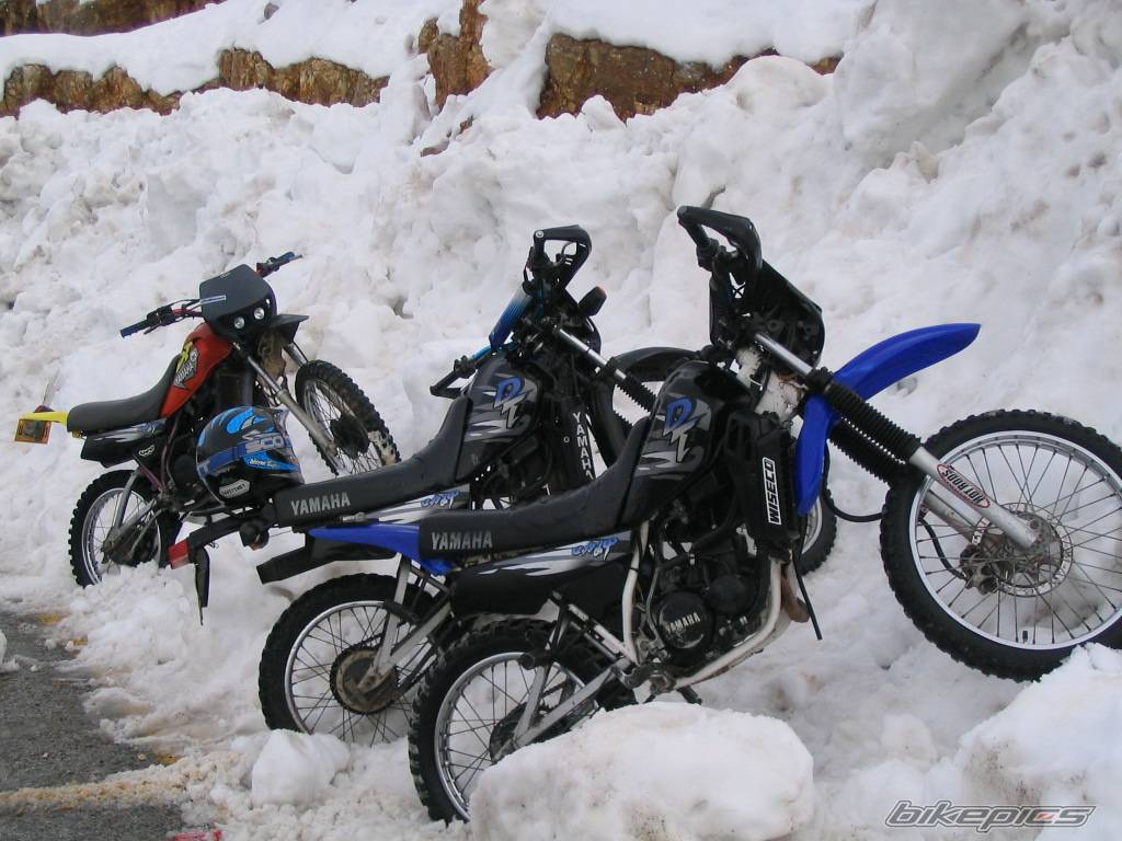Photo 519723