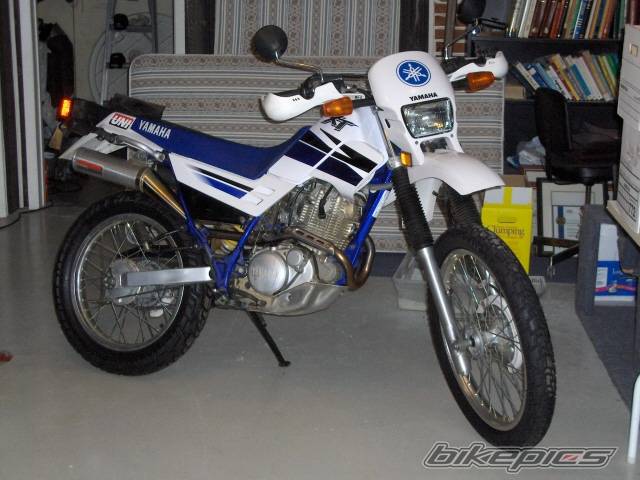 Photo 519782