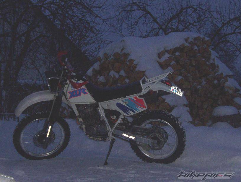 Photo 519861
