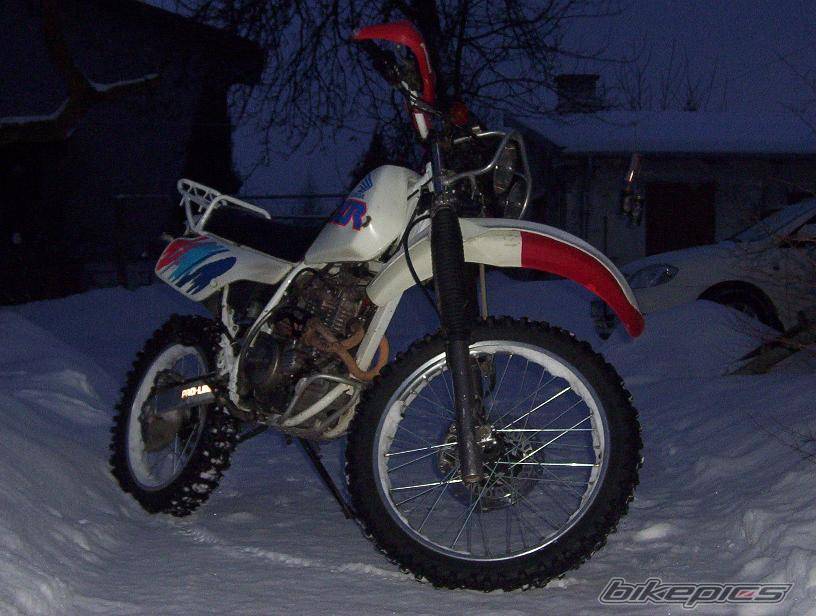 Photo 519862