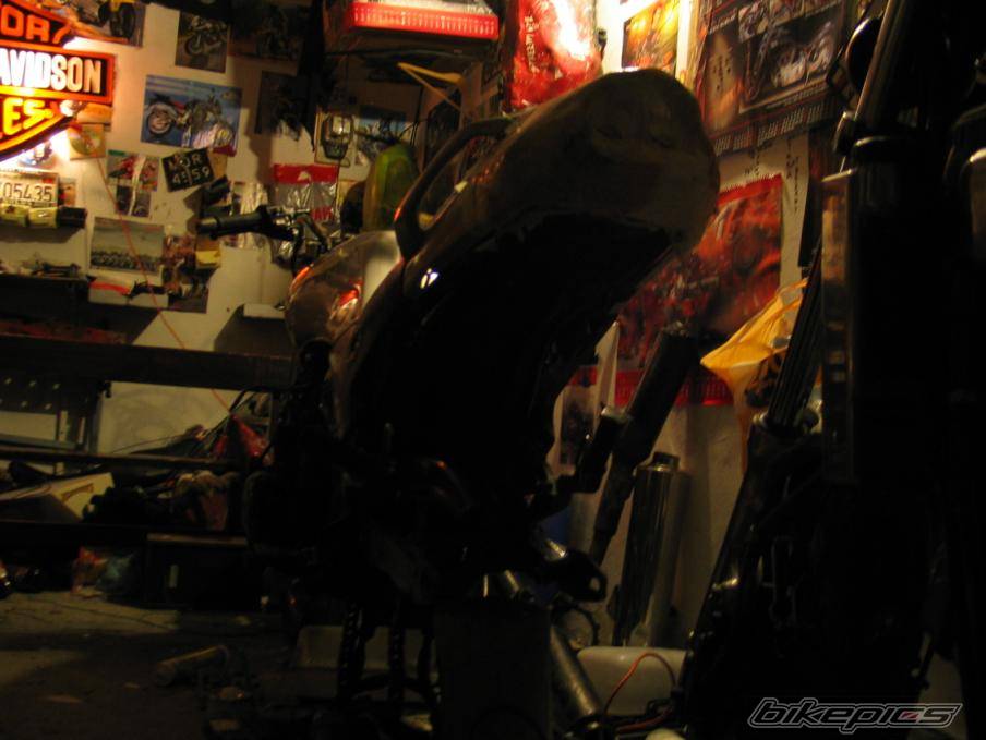 Photo 519870