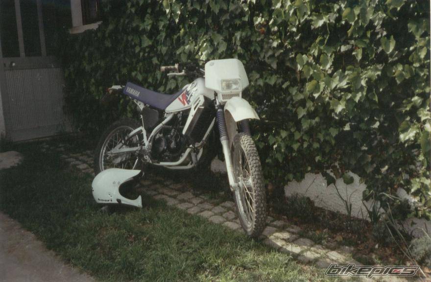Photo 519889