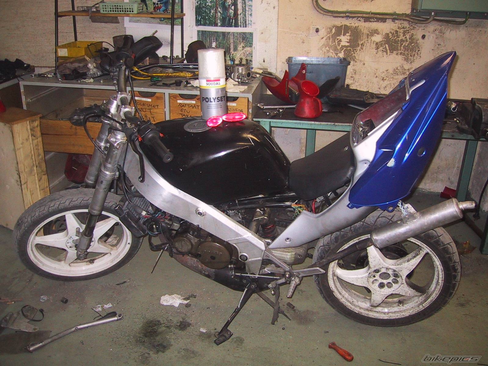 Photo 520031