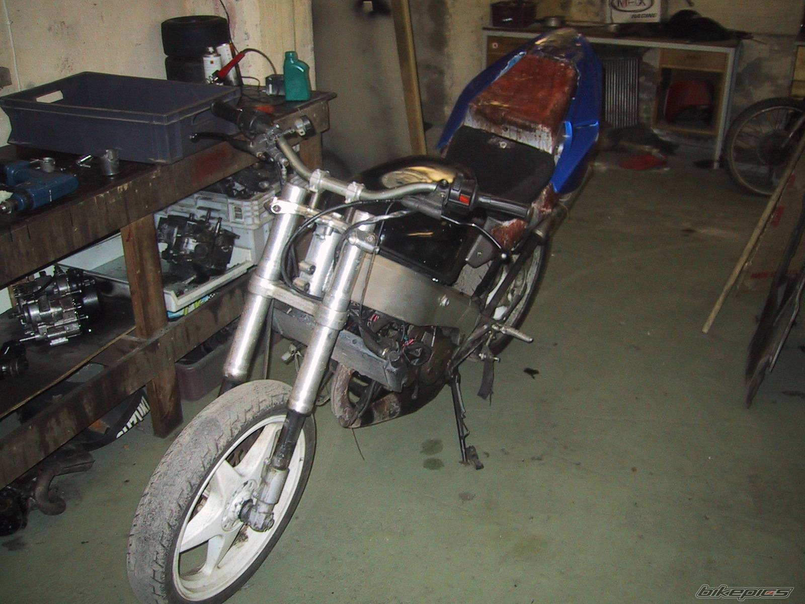 Photo 520032