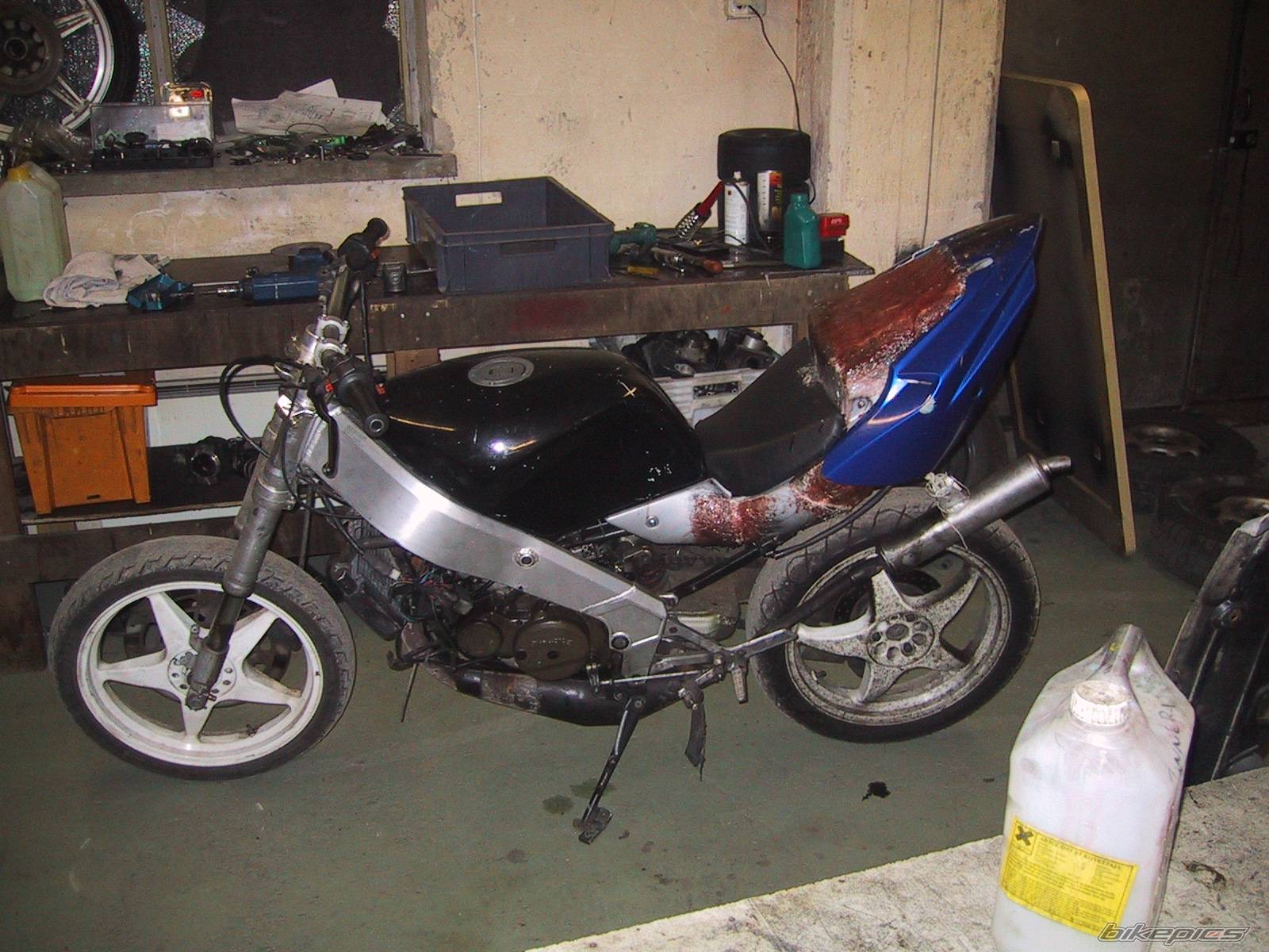 Photo 520033