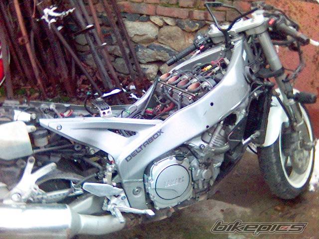 Photo 520056