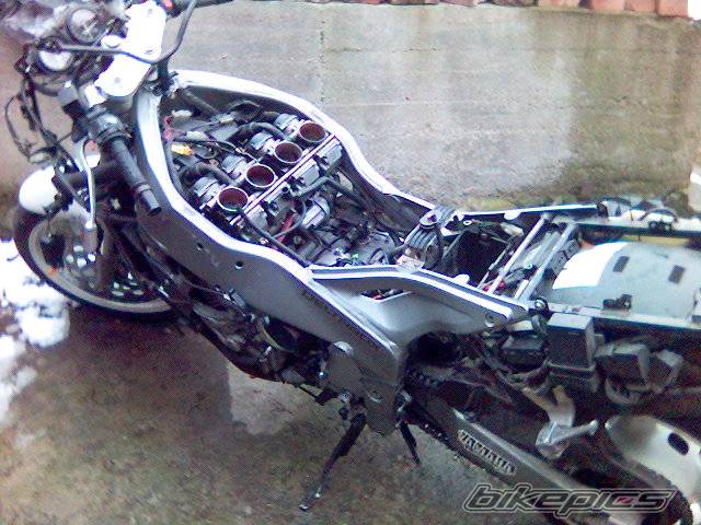 Photo 520059