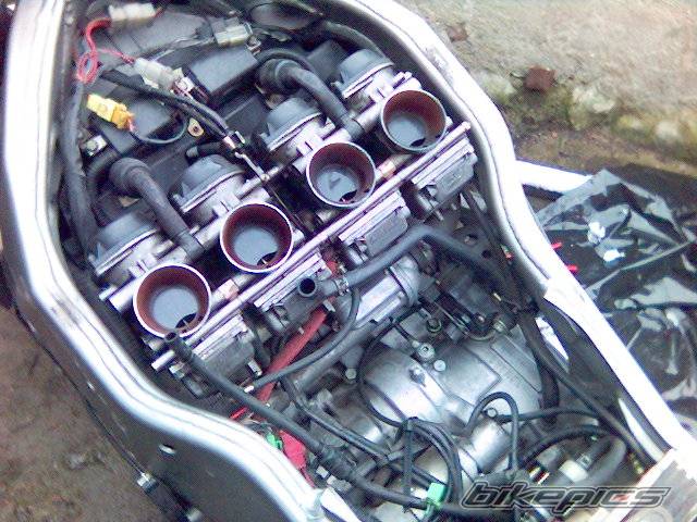 Photo 520061