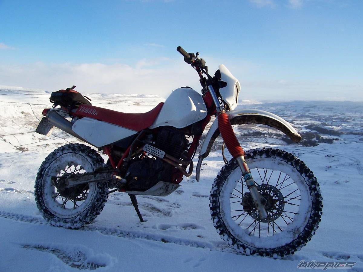 Bike Photo 520076