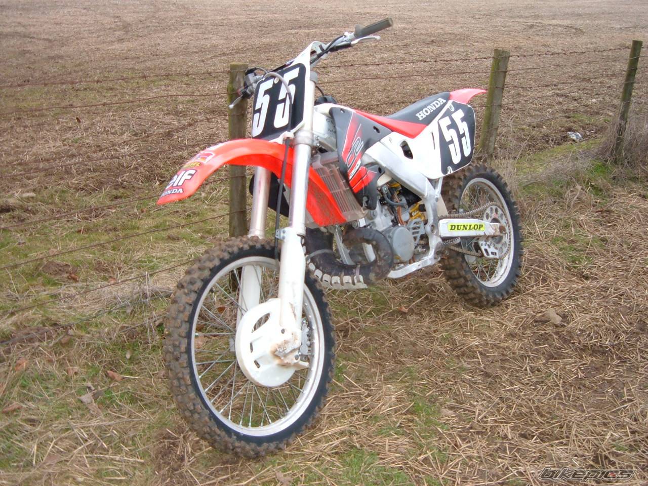 Photo 520085