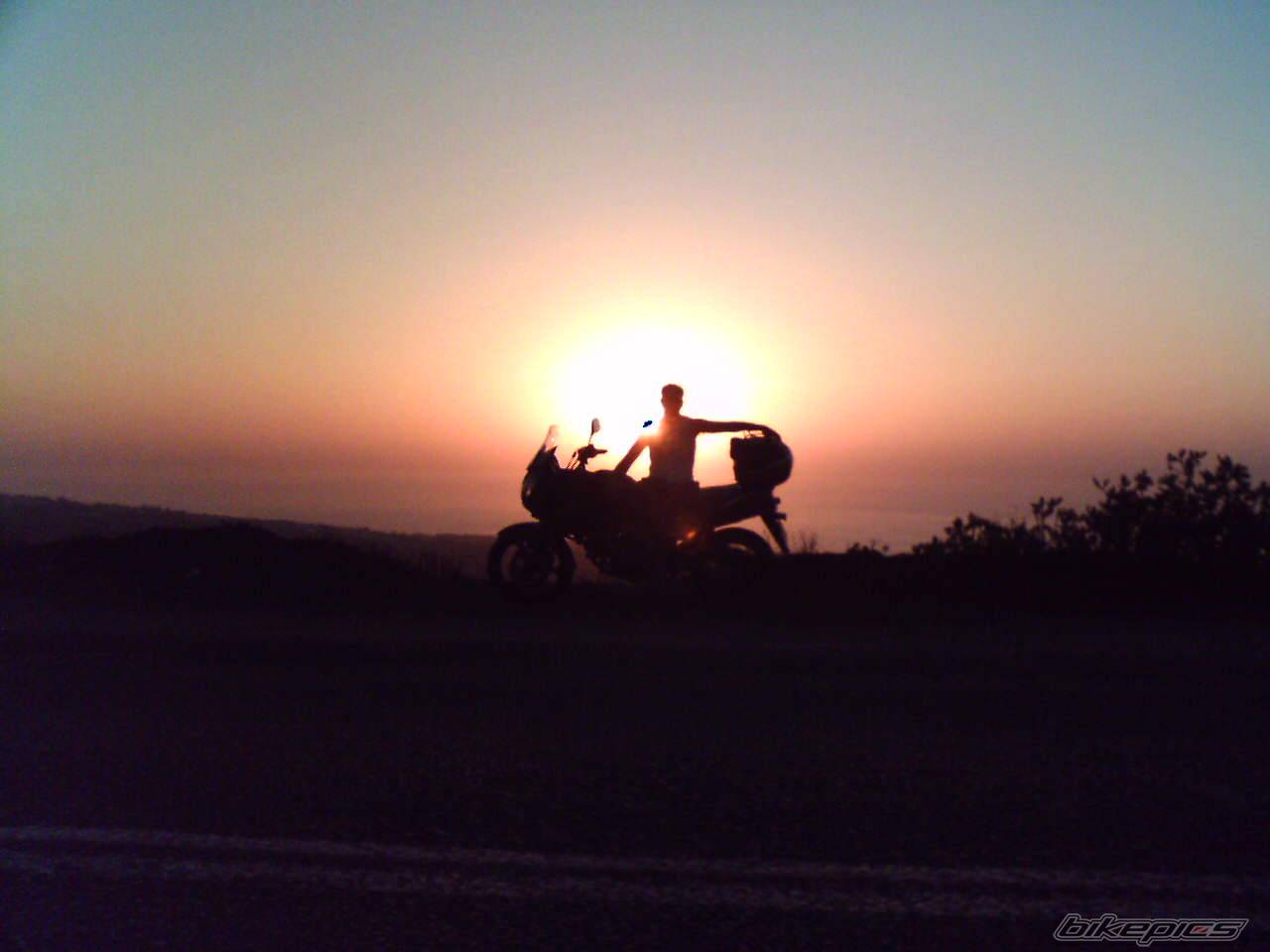 Photo 520202