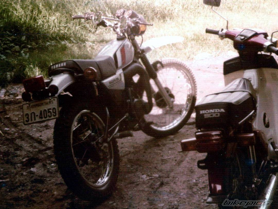 Photo 520232
