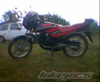 Photo 520270