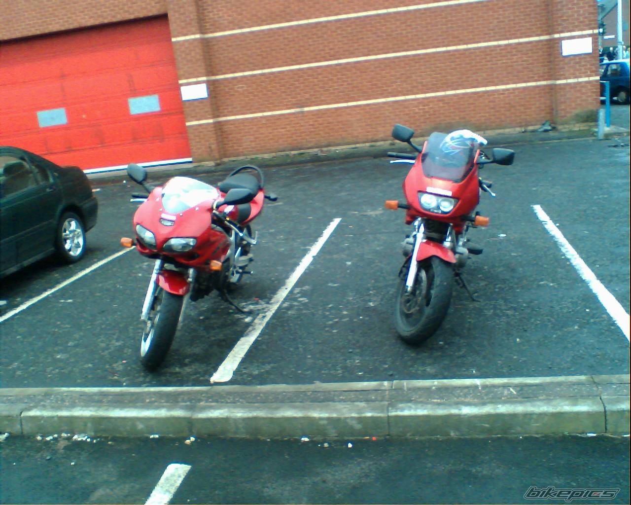 Photo 520686