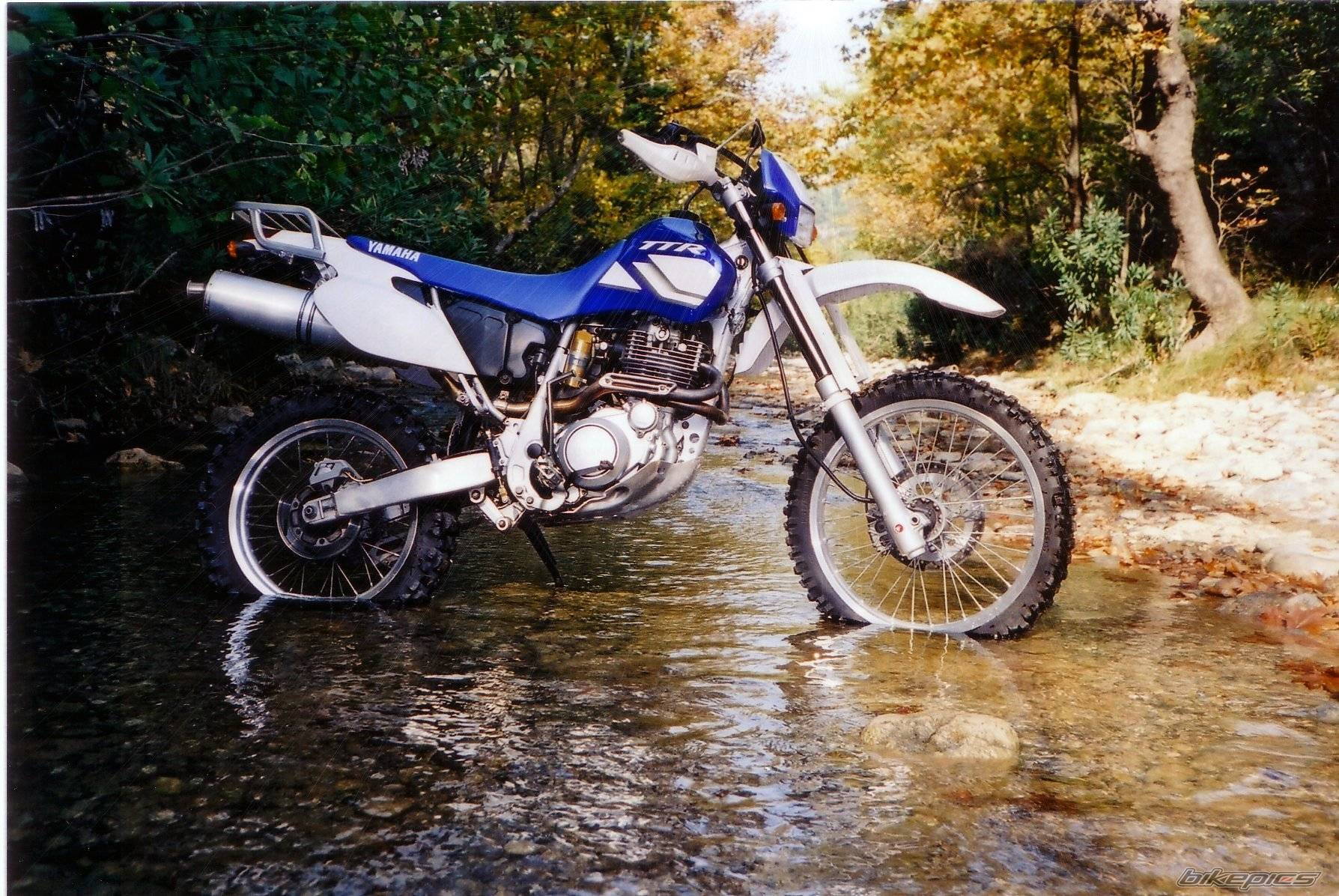 Bike Photo 52069