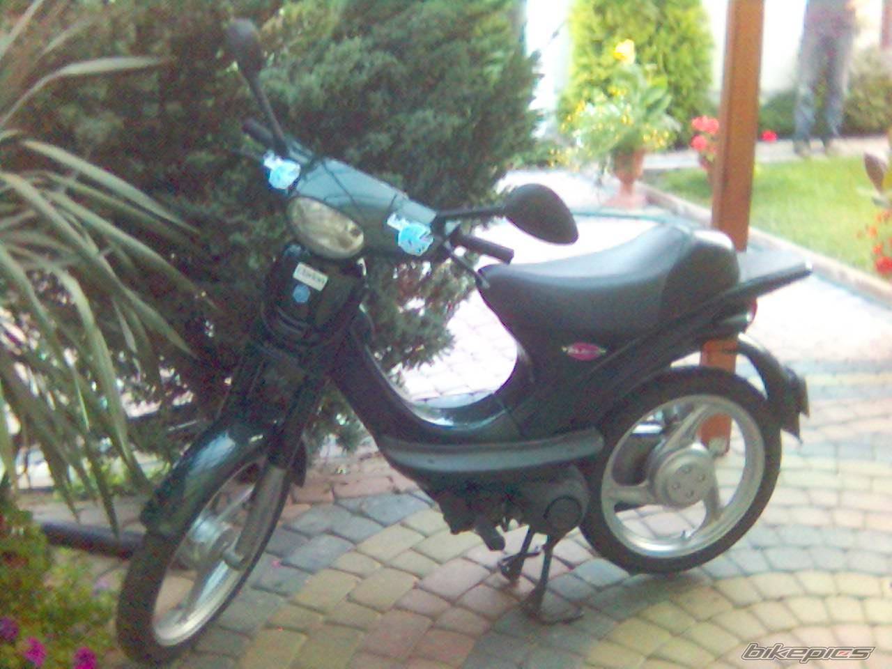 Photo 520925