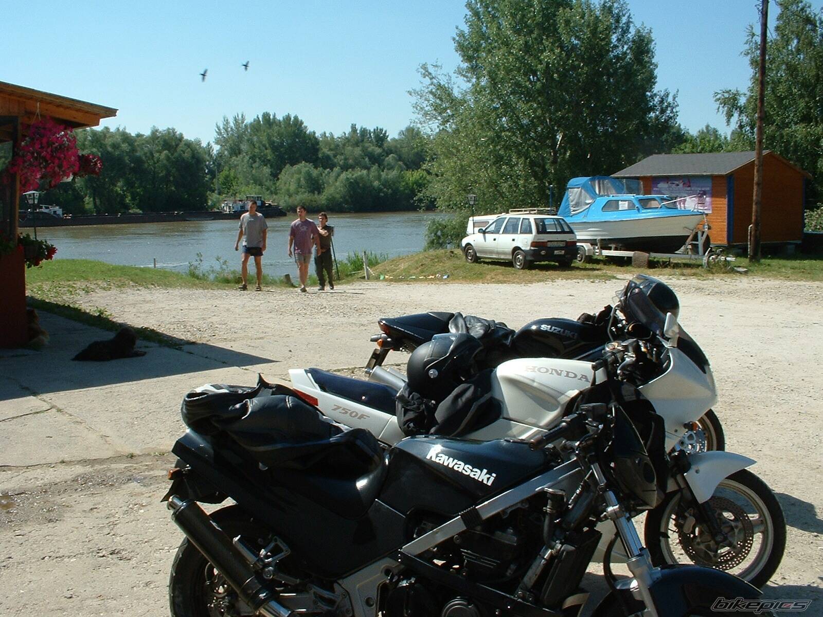 Photo 520949