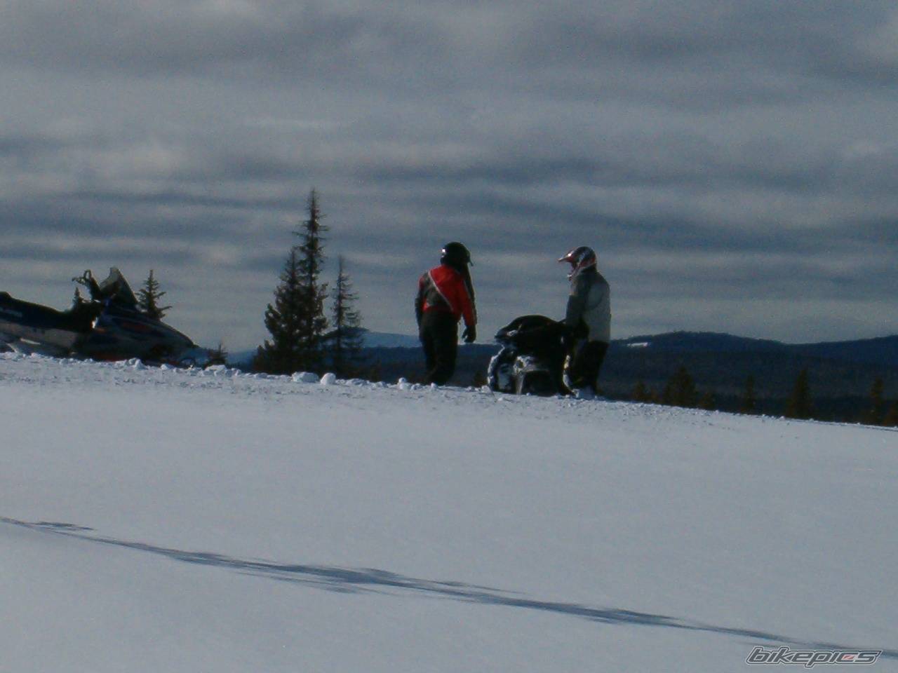 Photo 521341