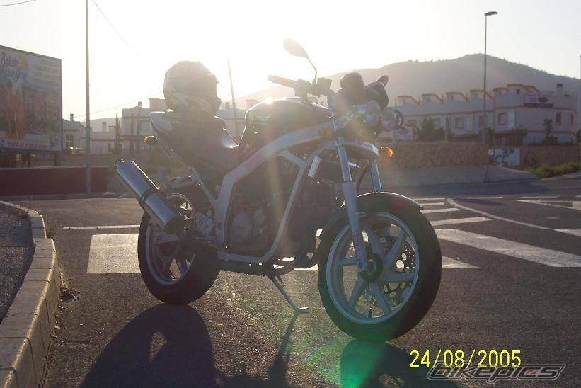 Photo 521353
