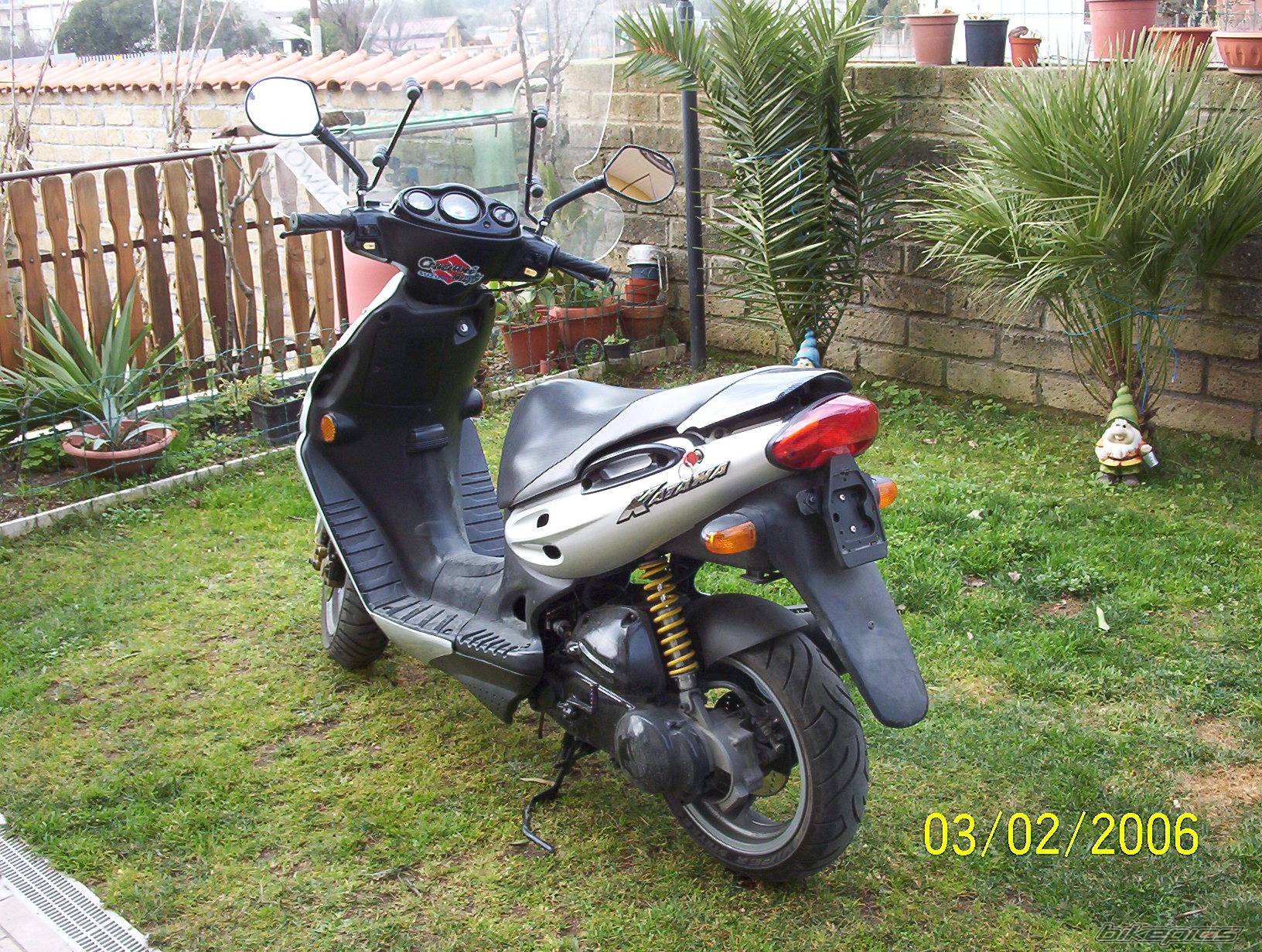 Photo 521762