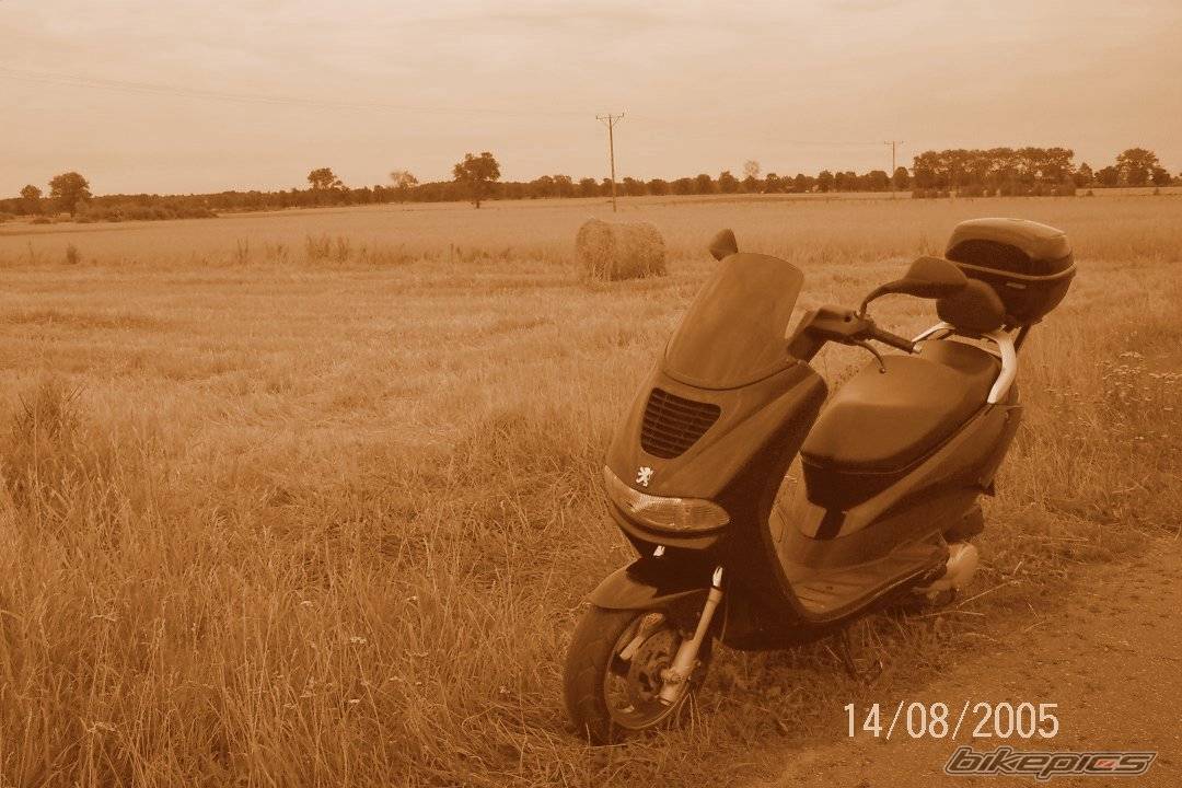 Bike Photo 521806