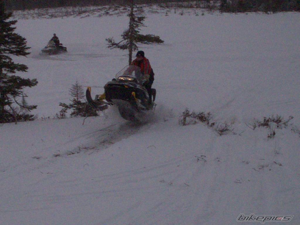 Photo 521985