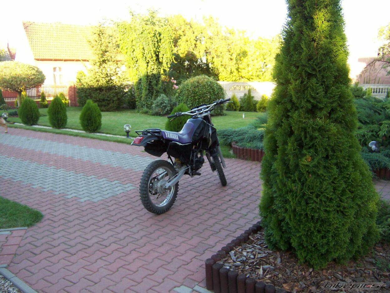 Bike Photo 522173