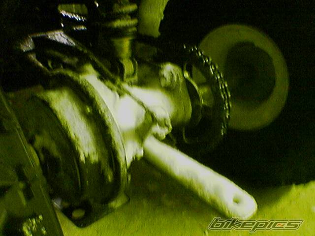 Photo 522249