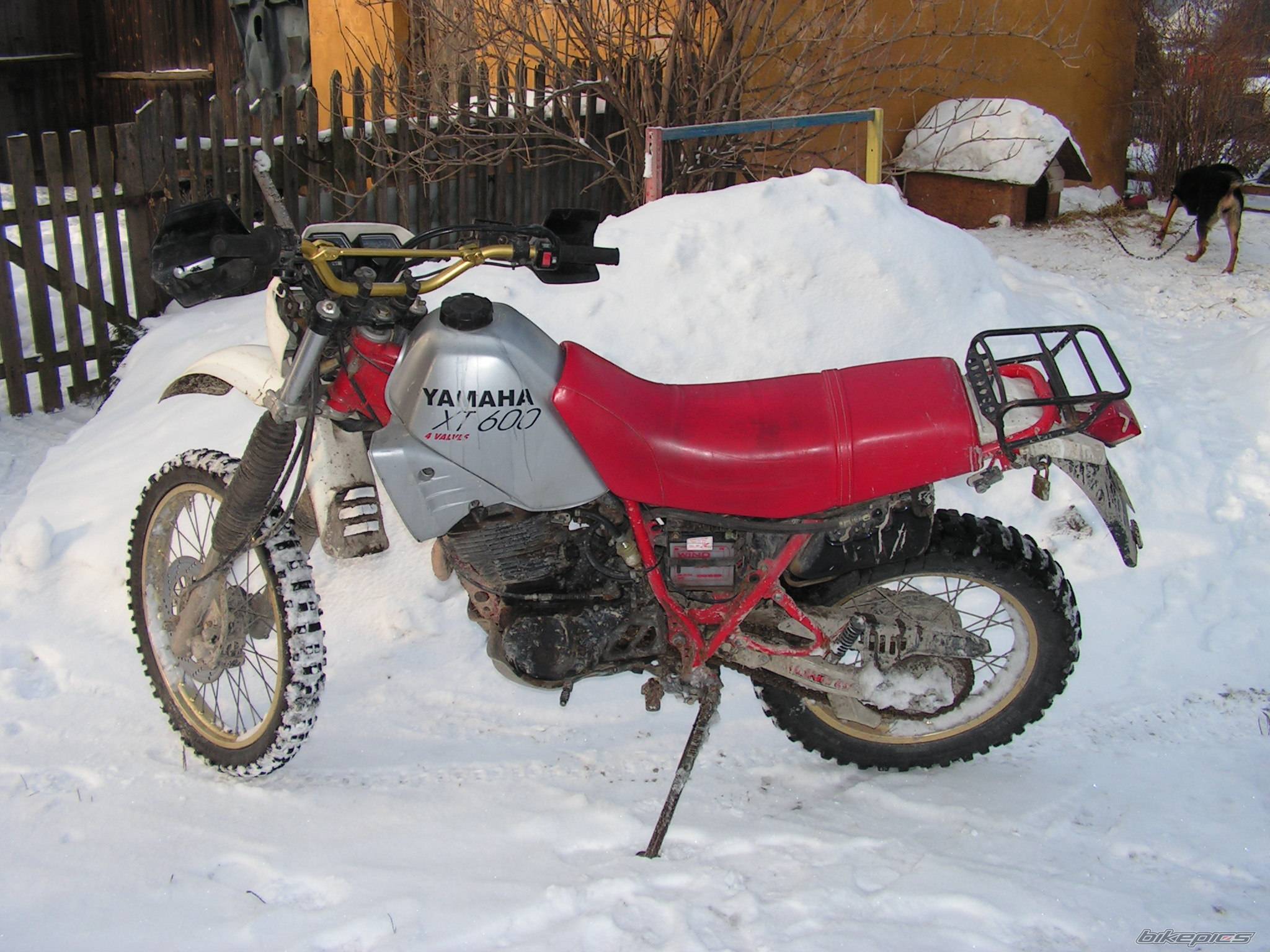 Bike Photo 522449