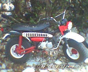 Bike Photo 522501