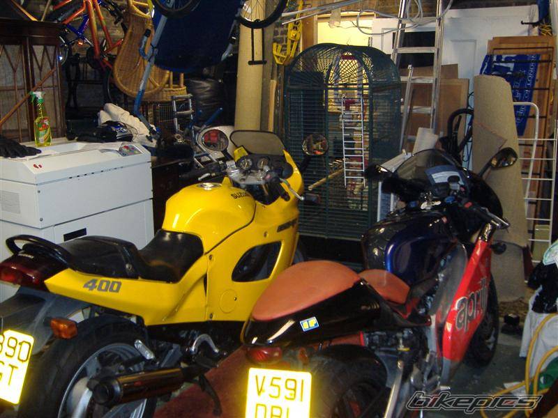 Photo 522892