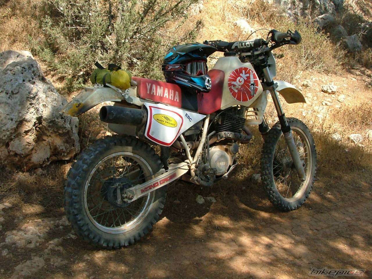 Bike Photo 522982